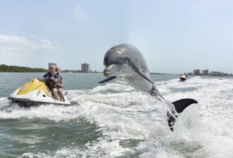 Destin: Crab Island Dolphin Watching Jet Ski Tour - FAQ