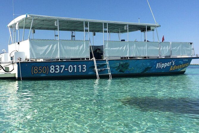 Destin Crab Island Tour in Catamaran - Key Points