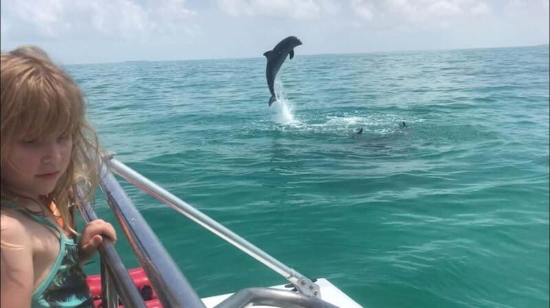 Destin: Dolphin Watching Cruise - Final Thoughts