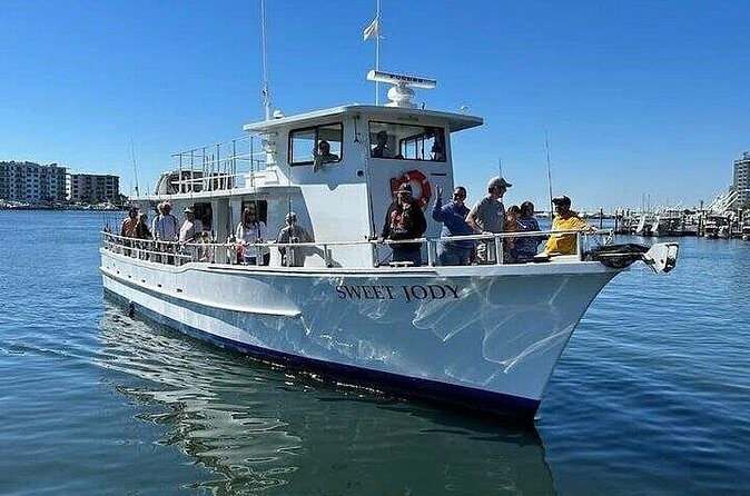 Destin Family Friendly Dolphin Watching Adventure - Comparing to Other Local Tours