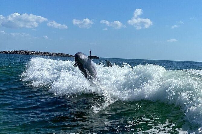 Destin Family Friendly Dolphin Watching Adventure - FAQ