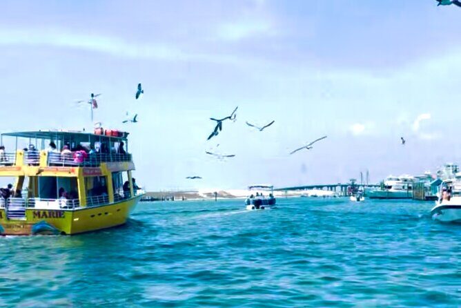 Destin Harbor Boat Ride and Dolphin Watching on the Hopper - What to Expect from the Destin Harbor Boat Ride and Dolphin Watching Tour