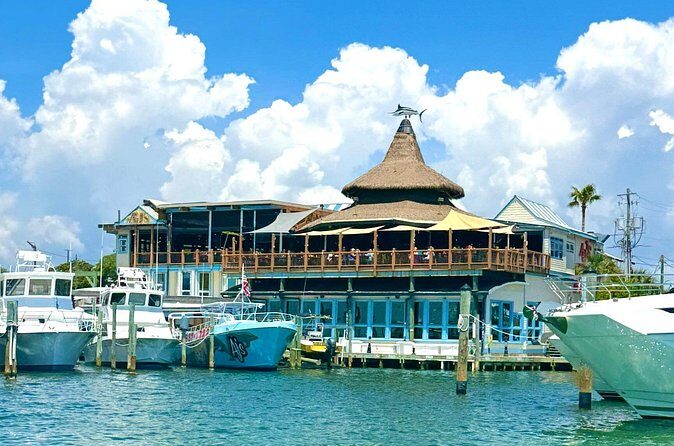 Destin Harbor Boat Ride and Dolphin Watching on the Hopper - Final Thoughts: Is This Tour Worth It?