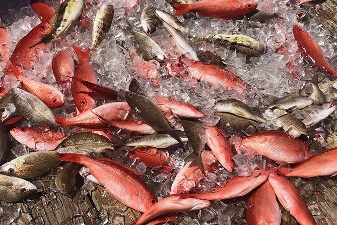 Destin: Party and Walk-On Fishing trip - Who Will Enjoy This Trip?