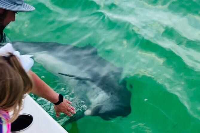Destin Private Boat Tours Dolphin Crab Island Snorkel Sunset - Practical Details to Keep in Mind