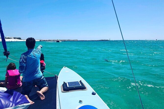 Destin Private Catamaran and Snorkeling Tour 3 or 4hrs - Who Will Love This Tour?