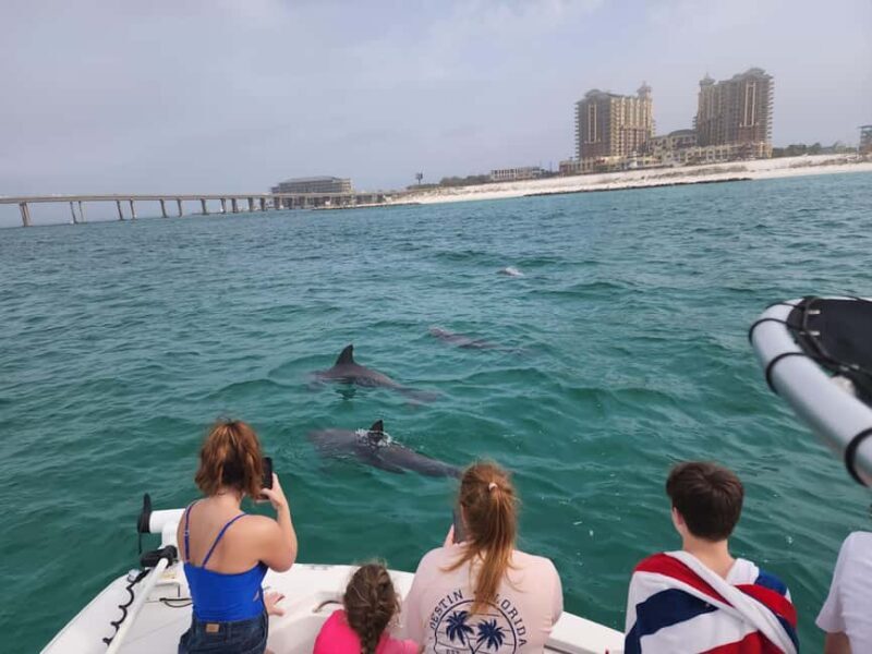 Destin: Private Morning Dolphin Cruise - Key Points