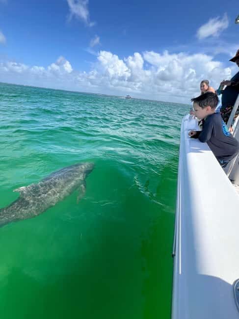 Destin: Private Morning Dolphin Cruise - What to Expect from the Destin Private Dolphin Cruise