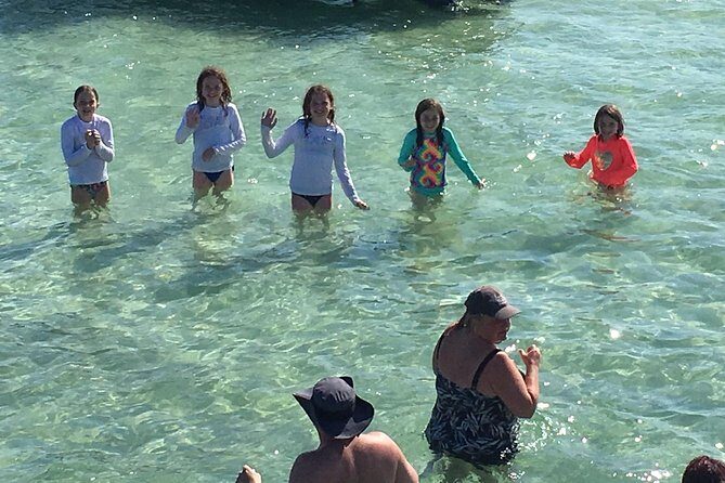 Destin: Private Snorkel/Shelling/Eco Excursion for Up to 28 - Final Thoughts