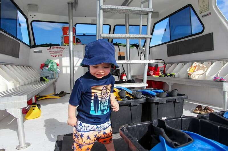 Destin: Snorkeling Cruise with 2 Stops and Dolphin Watching - The Benefits of the Tour: Why It’s a Good Choice