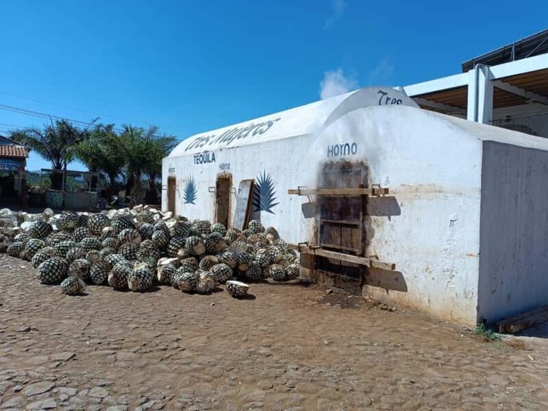 Destino Tequila: Experiencia Premier Privada - Introducing Our Review of the Destino Tequila: Experiencia Premier Privada