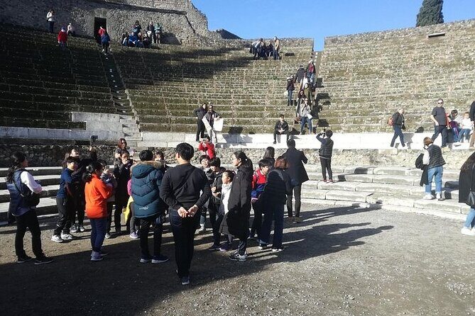 Destruction, death and rebirth of Pompeii, Private Visit in the afternoon. - FAQ