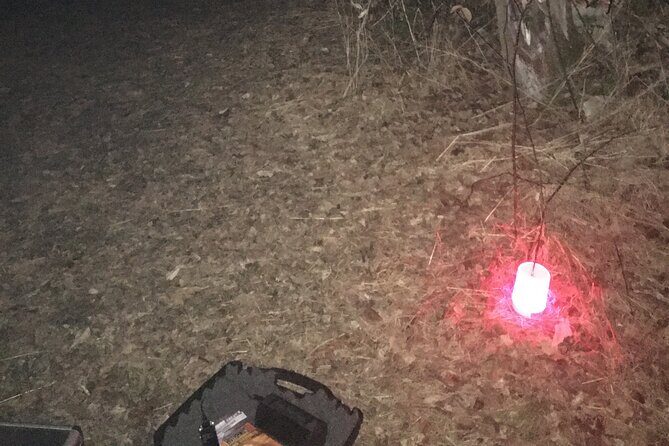 Devil's Hour Investigation: Small Group St. Augustine - An In-Depth Look at the Devil’s Hour Investigation