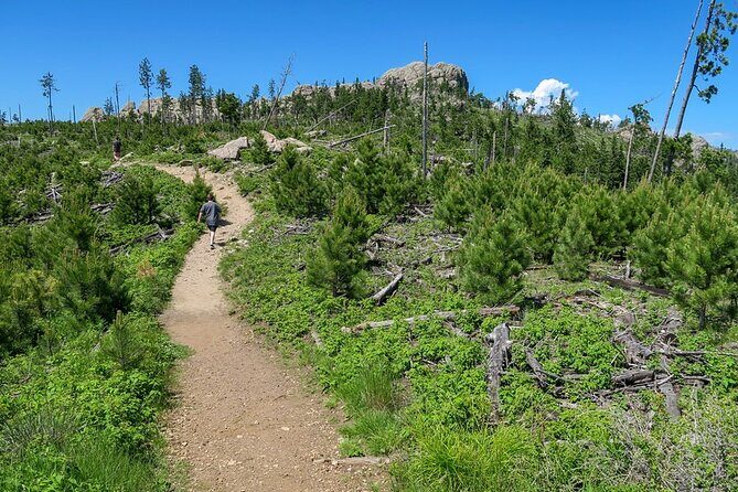 Devil's Tower - Deadwood - Spearfish Canyon Waterfalls + Picnic - Who Should Consider This Tour?
