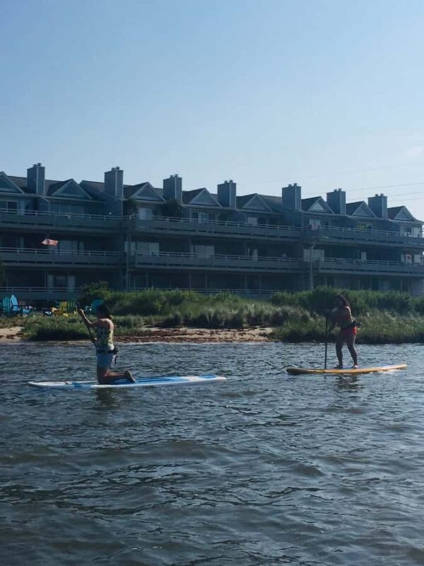 Dewey Beach: Paddleboard Rental - Key Points