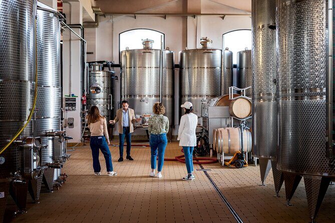 Di Giovanna Winery Tour & 3 Wine Tasting - Authentic Experiences and Authentic Reviews