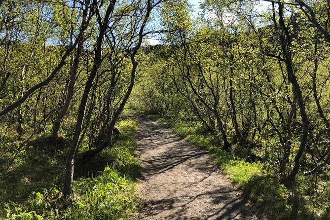 Diamond Circle Day Tour from Akureyri - Wrapping It Up