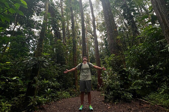 Diamond Head and Manoa Falls Hike and Adventure Tour - The Comfort and Convenience Factor