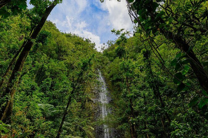 Diamond Head and Manoa Falls Hike and Adventure Tour - Is the Price Justified?
