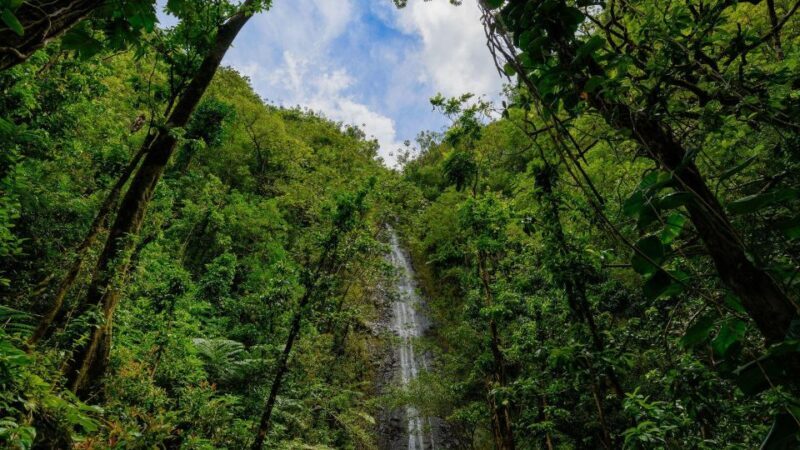 Diamond Head Manoa Falls - Pricing and Value Considerations