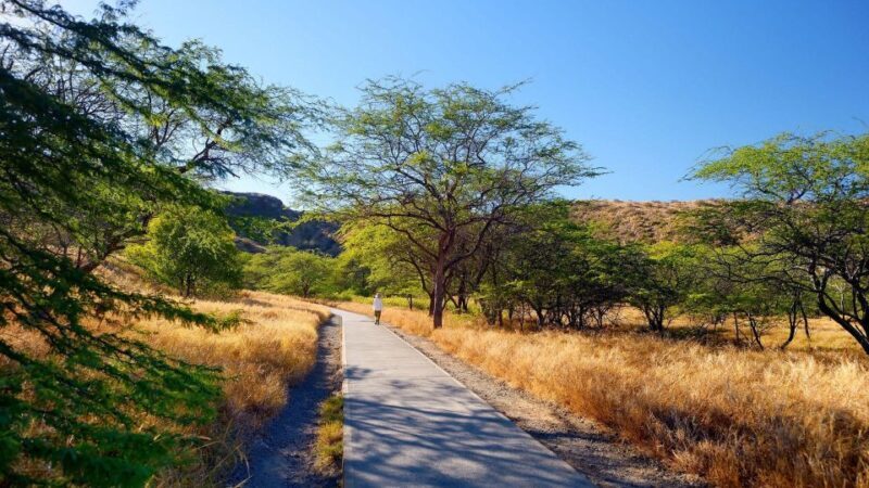 Diamond Head Manoa Falls - FAQ
