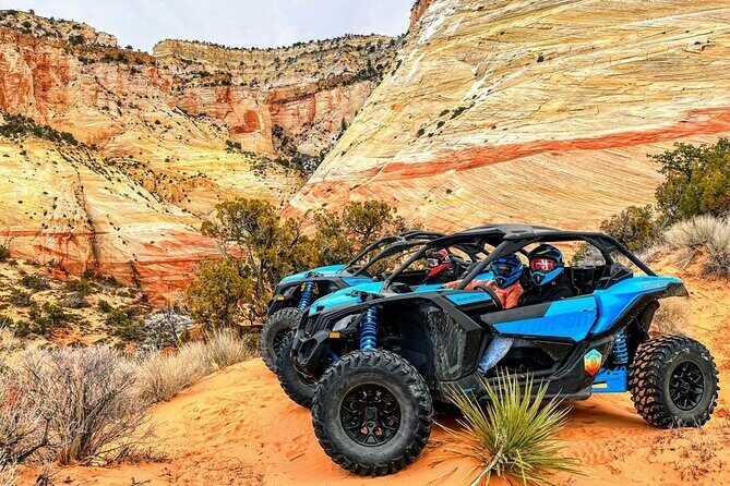 Diana's Throne UTV Adventure Near Zion National Park - Price & Value