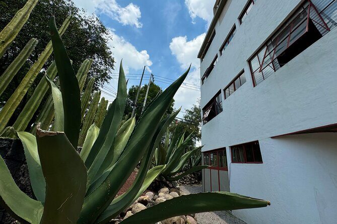 Diego Rivera Frida Kahlo Studio House Tour - Final Thoughts