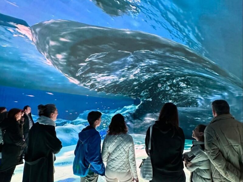 Digital Experience Museum Skip-the-Line Entry - Why You Might Love It