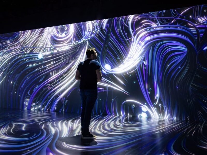 Digital Experience Museum Skip-the-Line Entry - What Could Be a Drawback?