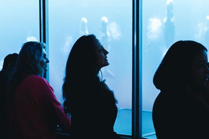 Digital Ocean Adventure in Sevierville - The Experience in Detail: What You’ll Actually Do