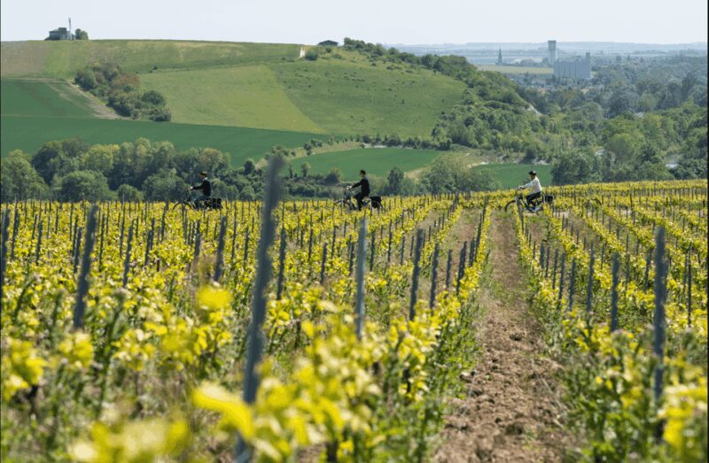 Dijon/Beaune: Full day Ebike Burgundy tour, tastings & lunch - Key Points
