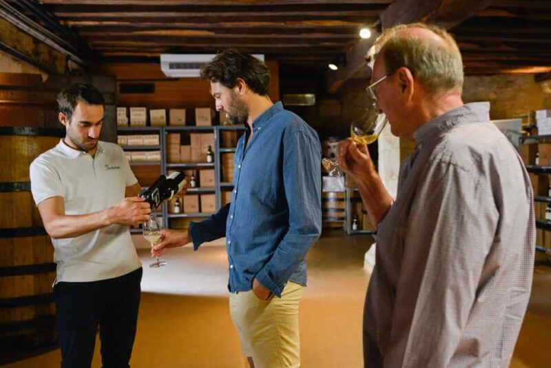 Dijon/Beaune: Full day Ebike Burgundy tour, tastings & lunch - Setting the Scene: What This Tour Offers