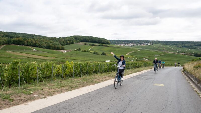 Dijon/Beaune: Full day Ebike Burgundy tour, tastings & lunch - The Final Wine Tasting: More Hidden Gems