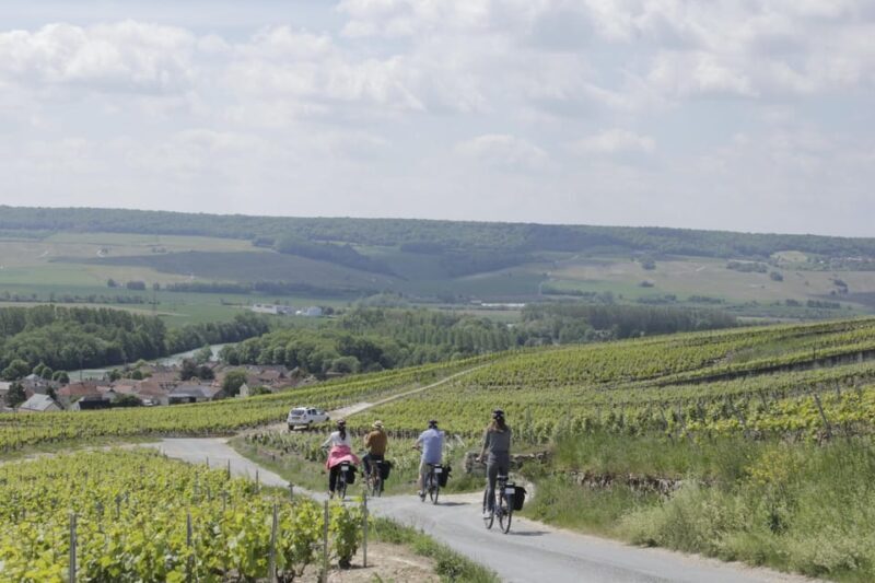 Dijon/Beaune: Full day Ebike Burgundy tour, tastings & lunch - Final Thoughts