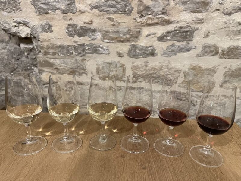 Dijon: Cheese and Burgundy Wine Tasting Workshop - What to Expect from the Dijon Cheese and Wine Workshop