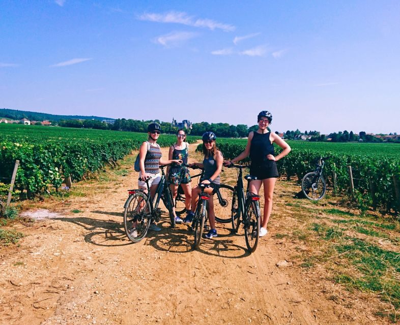 Dijon: Half-Day Guided Gourmet Bike Tour - Key Points