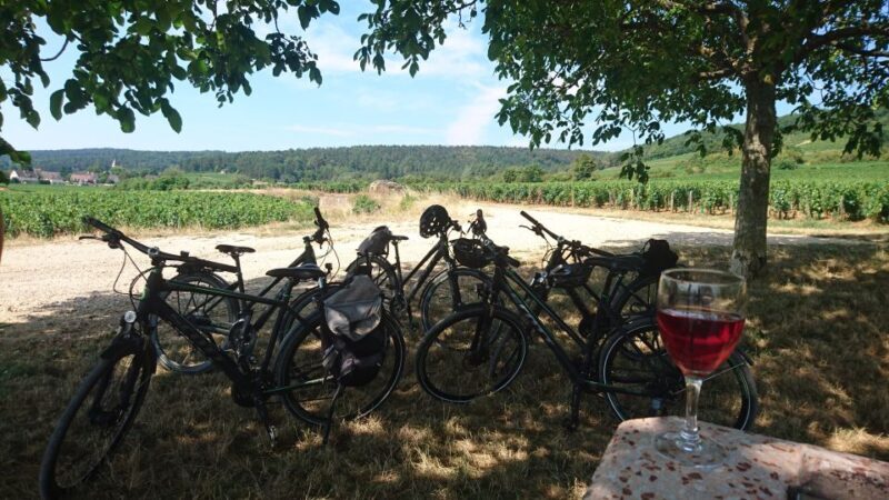 Dijon: Half-Day Guided Gourmet Bike Tour - Who Will Love This Tour?