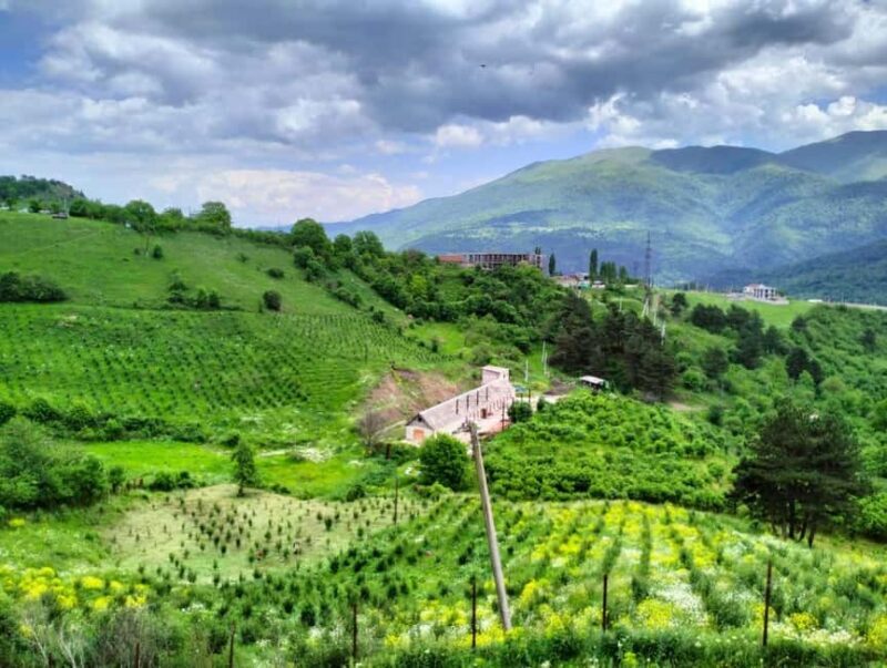 Dilijan: Armenian Wine Tasting at ACOL Ethnic Manor - Practical Details & Tips