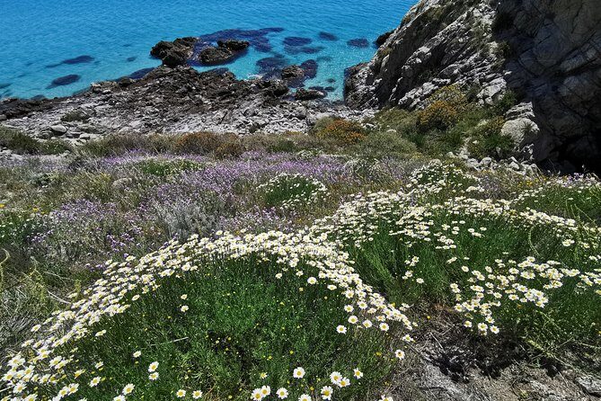 Dinghy Excursion - Exclusive Private Adventure - The Practical Side: Price, Group Size, and Booking