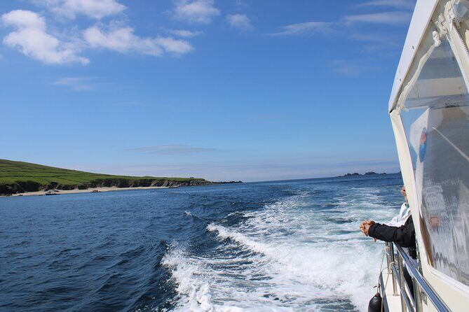 Dingle Dolphin Blasket Adventures - A Closer Look at the Experience