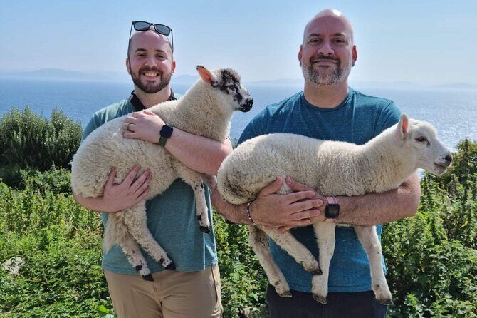 Dingle: Hour Slea Head Drive Tour 4hr - Personal Chauffeur Guide - Who Is This Tour Best For?