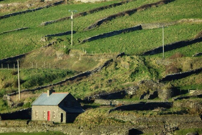 Dingle: Hour Slea Head Drive Tour 4hr - Personal Chauffeur Guide - Final Thoughts