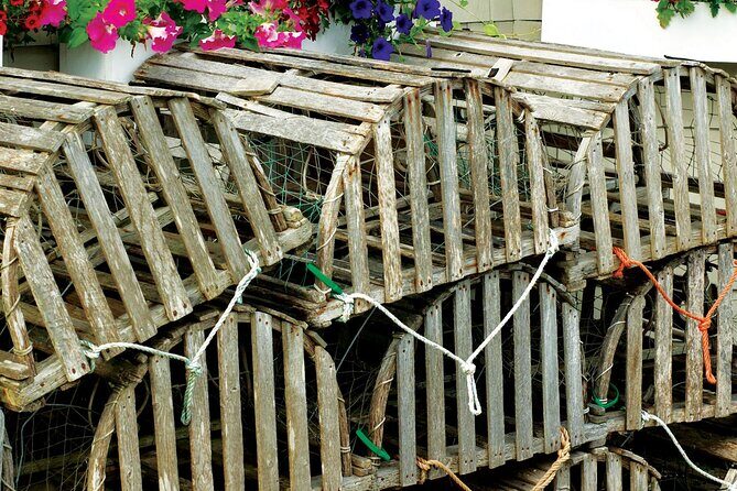 Dingle Peninsula and Slea Head Day Tour - FAQ