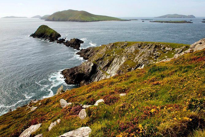 Dingle Peninsula Day Tour from Cork: Including The Wild Altanic Way - Who Will Love This Tour?