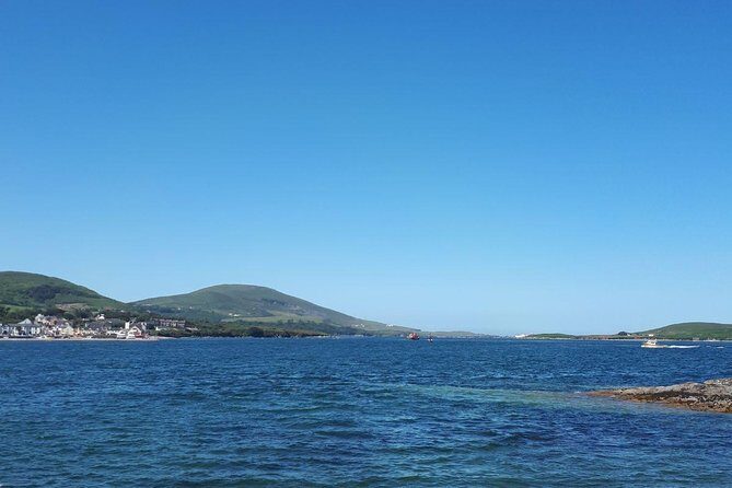 Dingle Peninsula & Slea Head - Private Mini Bus Tour - Who Is This Tour Best For?