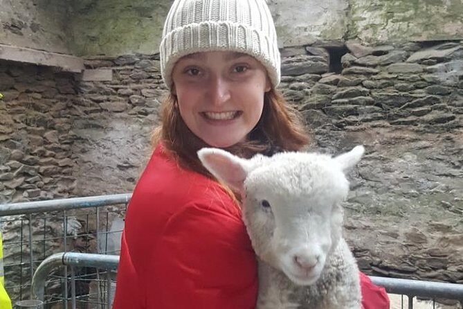 Dingle: Slea Head Drive Tour Full Day - Personal Chauffeur Guide - Who Would Love This Tour?