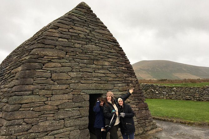 Dingle Town & Peninsula Private Chauffeur Driven Day Tour From Killarney Luxury - Who Would Love This Tour?