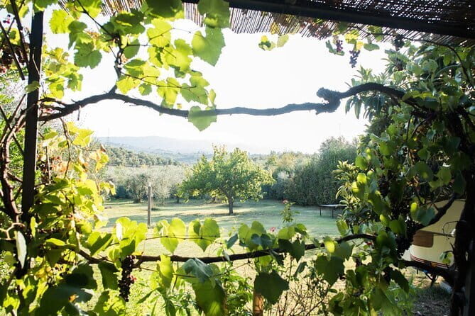 Dining Experience in a 13th-Century Monastery in Florence - An In-Depth Look at the Florence Monastery Dining Experience