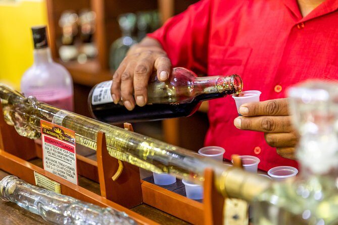 Dinner Cruise Tour in Cabo San Lucas with Tequila Tasting - The Sum Up