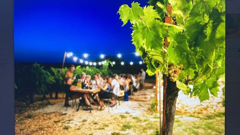 Dinner in the vineyard and wine tasting under the stars - Who Will Love This Experience